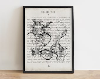 Hip Vintage Anatomy Art Print Orthopedic Surgeon Physical Therapist Physical Therapy Graduation Gift