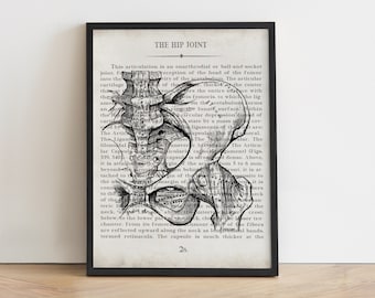 Vintage Hip Anatomy Art Print: Orthopedic Gift, Graduation Gift