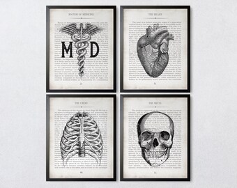 MD Vintage Anatomy  Art Print Set of 4 Medical School Student White Coat Ceremony Gift