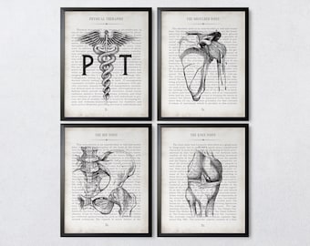 PT Physical Therapy Vintage Anatomy  Art Print Set of 4 PT Gift Physical Therapy Gift Graduation Gift & Office Decor