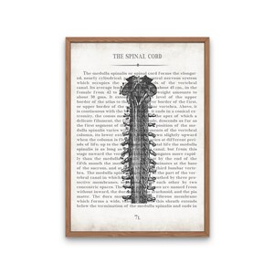 Vintage Anatomy Art Print Set: Brain & Spinal Cord, Graduation Gift - Etsy