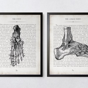 Vintage Foot & Ankle Anatomy Art Print Set: Physical Therapy Decor