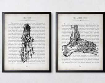 Foot & Ankle Vintage Anatomy  Art Print Set of 2 Physical Therapy Gift Podiatrist Gift  Graduation Gift and Office Decor