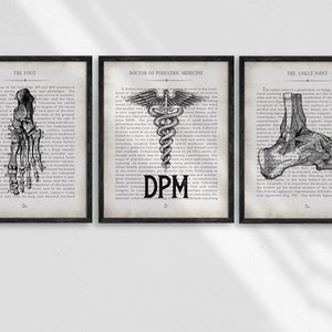 Podiatry Art Print Set: Vintage Foot & Ankle Anatomy, DPM Gift