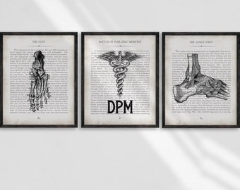 Regalo de podólogo Tobillo DPM y pie Vintage Anatomía Arte Impresión Conjunto de 3 Decoración de oficina de podología y regalo de graduación