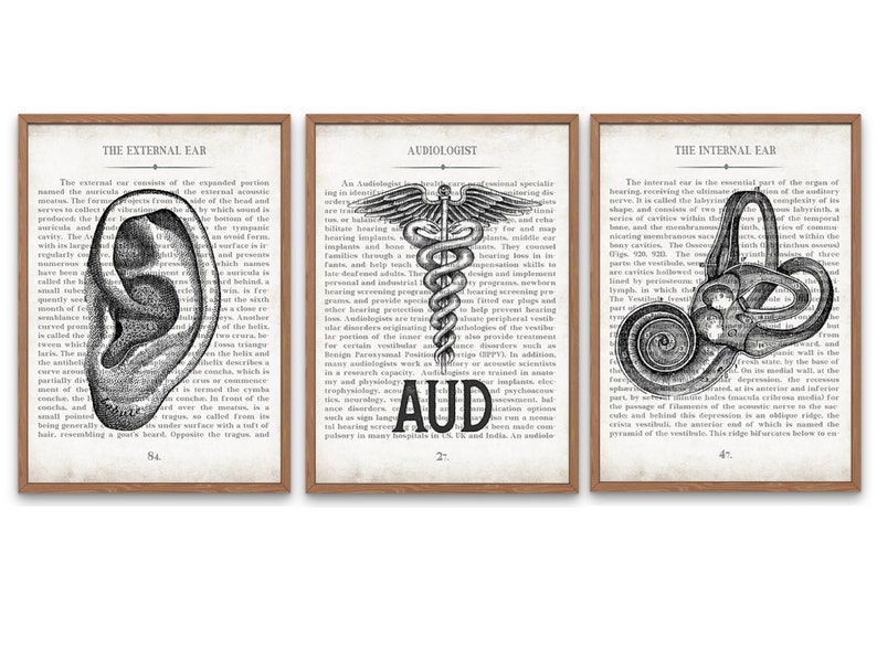 AUD Gift Ear AUD and Inner Ear Vintage Anatomy Art Print Set of 3 Doctor of Audiology Audiologist Graduation Gift image 1