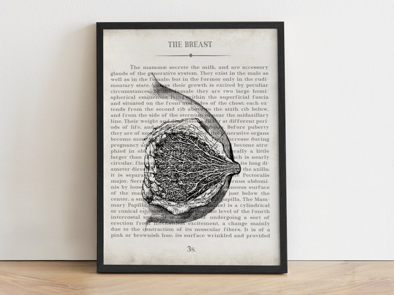 Breast, Vintage Anatomy Art Print, Gift for OBGYN, Gynecologist Office Wall Art, Mammary Art Print, Gift for Gynecologist, OB Office Decor image 1