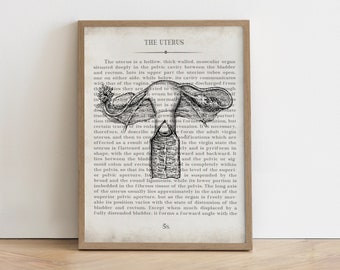 Uterus, Vintage Anatomy Art Print, Gift for OBGYN, Gynecologist Office Wall Art, Ovary Art Print, Gift for Gynecologist, OB Office Decor