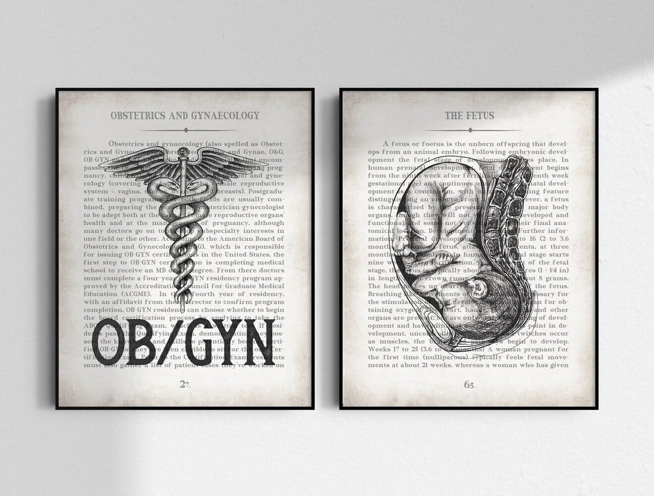 OBGYN Gift, Obstetrics Art Print Set of 2, OB/GYN Graduation Gift, Ob ...