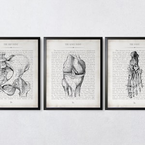 Hip Knee and Foot Vintage Anatomy  Art Print Set of 3 Unique Orthopedic Surgeon Graduation Gift