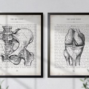 Orthopedic Gift Hip and Knee Vintage Anatomy Art Print Set of 2 Orthopedic Surgeon Graduation Gift & Office Decor image 7