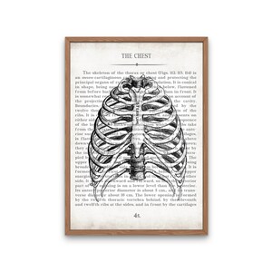 Radiology Tech Art Print Set: Vintage Anatomy Chest & RT Gift image 3
