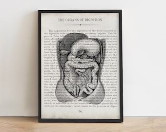 Vintage Digestive System Anatomy Art Print: Gastroenterologist Gift, Graduation Gift