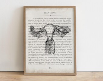 Vintage Uterus Anatomy Print - OBGYN Gift - Ovary Art - Office Decor, Graduation Gift
