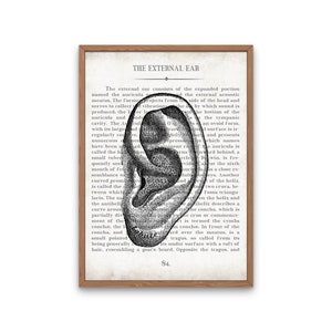 AUD Gift Ear AUD and Inner Ear Vintage Anatomy Art Print Set of 3 Doctor of Audiology Audiologist Graduation Gift image 2