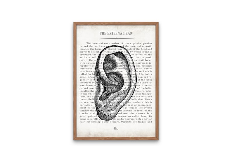 Vintage ENT Anatomy Art Print Set: Ear, Nose, Throat, Thyroid ...