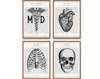 Vintage Anatomy Art Prints: Medical Doctor Gift Set