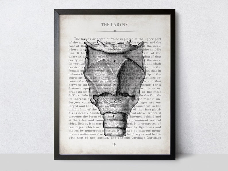 Vintage Larynx Anatomy Art Print: Speech Therapy Gift - Etsy