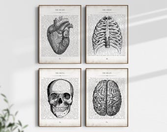 Vintage Anatomy Art Print Set: Medical Decor Gift