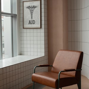 Audiologist Gift: Vintage Medical Art Print, AUD Graduation Decor