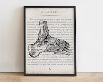 Vintage Ankle Anatomy Art Print: Orthopedic Gift Office Decor, Graduation Gift