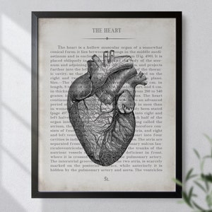 Anatomical Heart, Vintage Anatomy Art Print, Cardiologist Wall Art ...