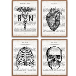 Nursing Graduation Gift, RN and Vintage Anatomy Set of 4 Wall Art Prints, Nurse Graduation Gift, Nurse Retirement Gift and Office Decor