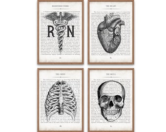 Nursing Graduation Gift, RN and Vintage Anatomy Set of 4 Wall Art Prints, Nurse Graduation, Nurse Retirement Gift and Office Decor