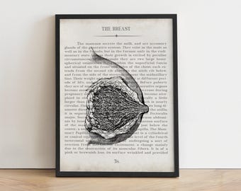 Vintage Breast Anatomy Art Print: OBGYN Office Decor, Graduation Gift