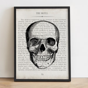 Skull Vintage Anatomy Art Print Gift for Doctor Medical Office Decor Human Skull Anatomy Graduation Gift & Office Decor