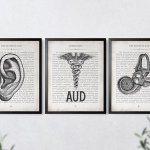 AUD Gift Ear AUD and Inner Ear Vintage Anatomy Art Print Set of 3 Doctor of Audiology Audiologist Graduation Gift image 7