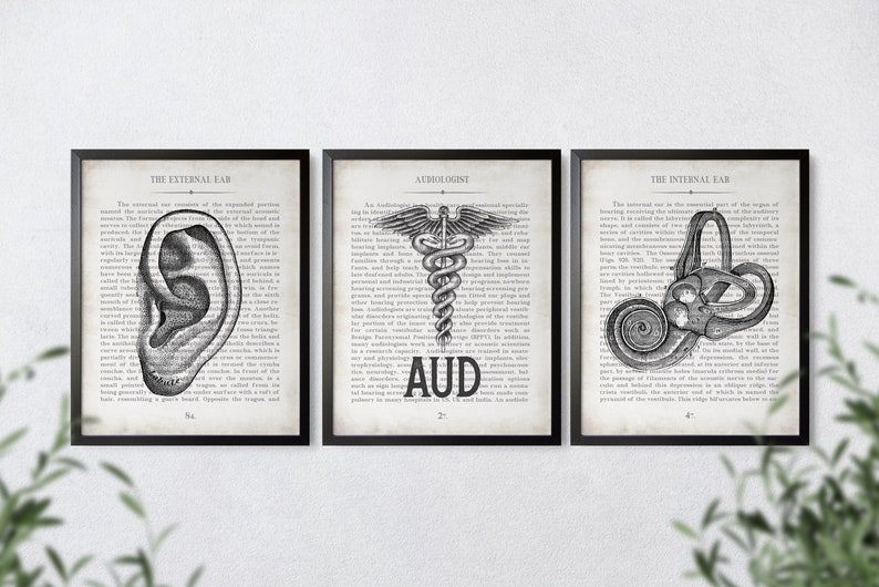 AUD Gift Ear AUD and Inner Ear Vintage Anatomy Art Print Set of 3 Doctor of Audiology Audiologist Graduation Gift image 7