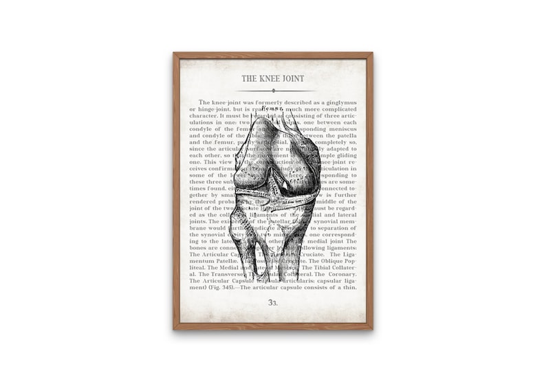 Orthopedic Gift Hip and Knee Vintage Anatomy Art Print Set of 2 Orthopedic Surgeon Graduation Gift & Office Decor image 3