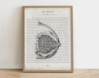 OBGYN Gift, Breast Mammary Art Print, Gynecologist Gift, OB/GYN Office Decor, Breast Cancer Awareness, Vintage Female Anatomy Wall Art