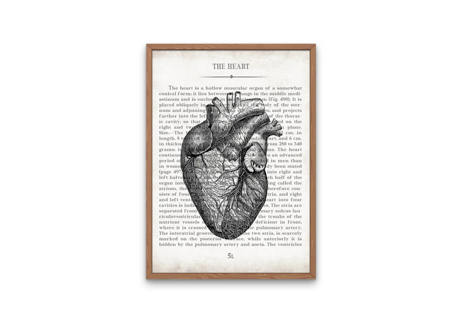 Medical Art, Set of 4 Vintage Anatomy Wall Art Prints, Doctor Office Decor, Medical Student Gift