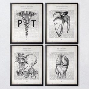 Vintage Anatomy Art Print Set: Physical Therapy Gift, Office Decor, Graduation Gift