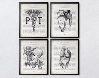 Physical Therapy PT Vintage Anatomy Art Print Set of 4 Physical Therapy Therapist Graduation Gift & Office Decor