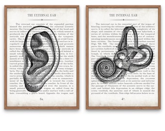 Ear Art Ear and Inner Ear Vintage Anatomy  Art Print Set of 2 Audiology Audiologist Office Decor and Graduation Gift