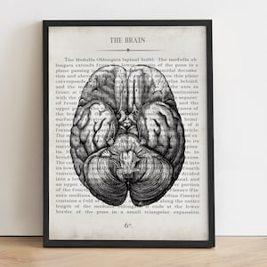 Brain Art Vintage Anatomy Art Print Psychologist Neuroscience Graduation Gift & Office Decor