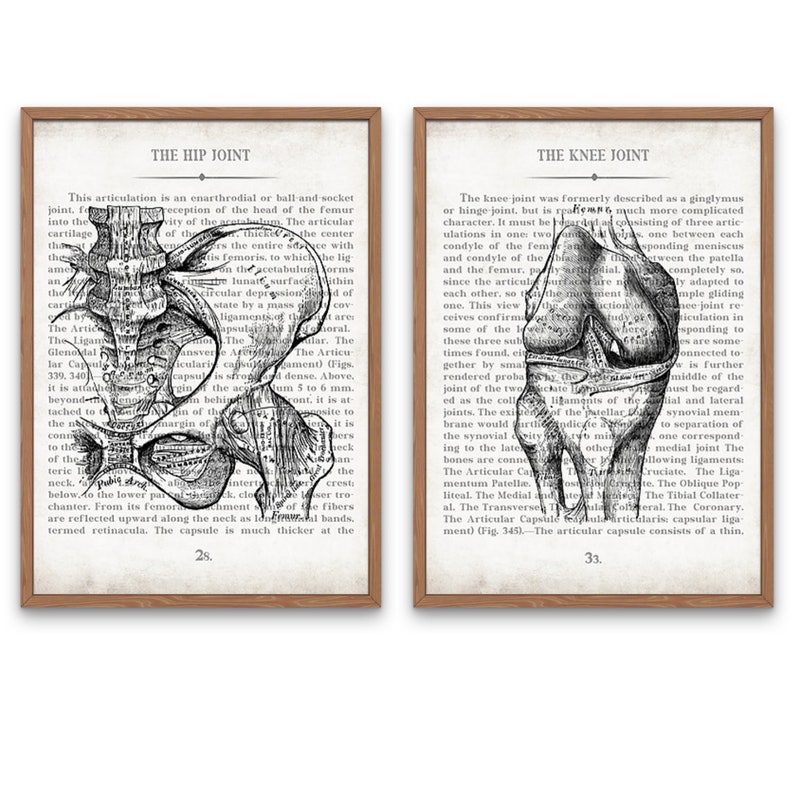 Orthopedic Gift Hip and Knee Vintage Anatomy Art Print Set of 2 Orthopedic Surgeon Graduation Gift & Office Decor image 6