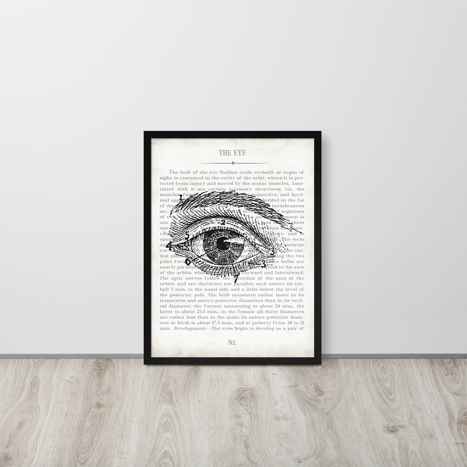 Optometrist Gift Eye Art Vintage Anatomy Art Print Optometry - Etsy