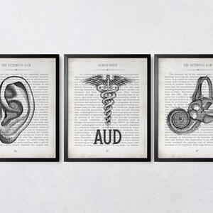 Audiology Gift Ear AUD and Inner Ear Vintage Anatomy  Art Print Set of 3 Audiologist Graduation Gift