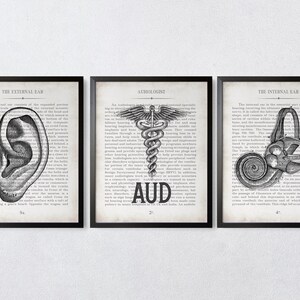 AUD Gift Ear AUD and Inner Ear Vintage Anatomy Art Print Set of 3 Doctor of Audiology Audiologist Graduation Gift image 8