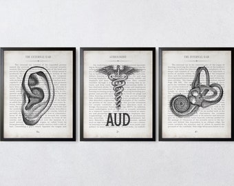 AUD Gift Ear AUD and Inner Ear Vintage Anatomy  Art Print Set of 3 Doctor of Audiology Audiologist Graduation Gift