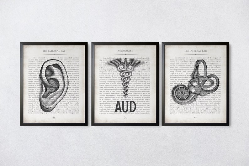 AUD Gift Ear AUD and Inner Ear Vintage Anatomy Art Print Set of 3 Doctor of Audiology Audiologist Graduation Gift image 8