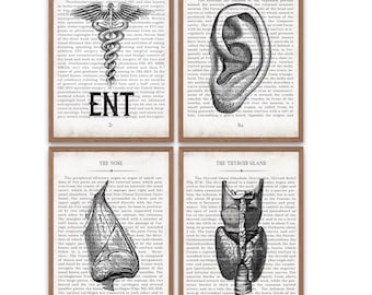 ENT Collection Vintage Anatomy  Art Print Set of 4 Unique Ear Nose and Throat Doctor Gift