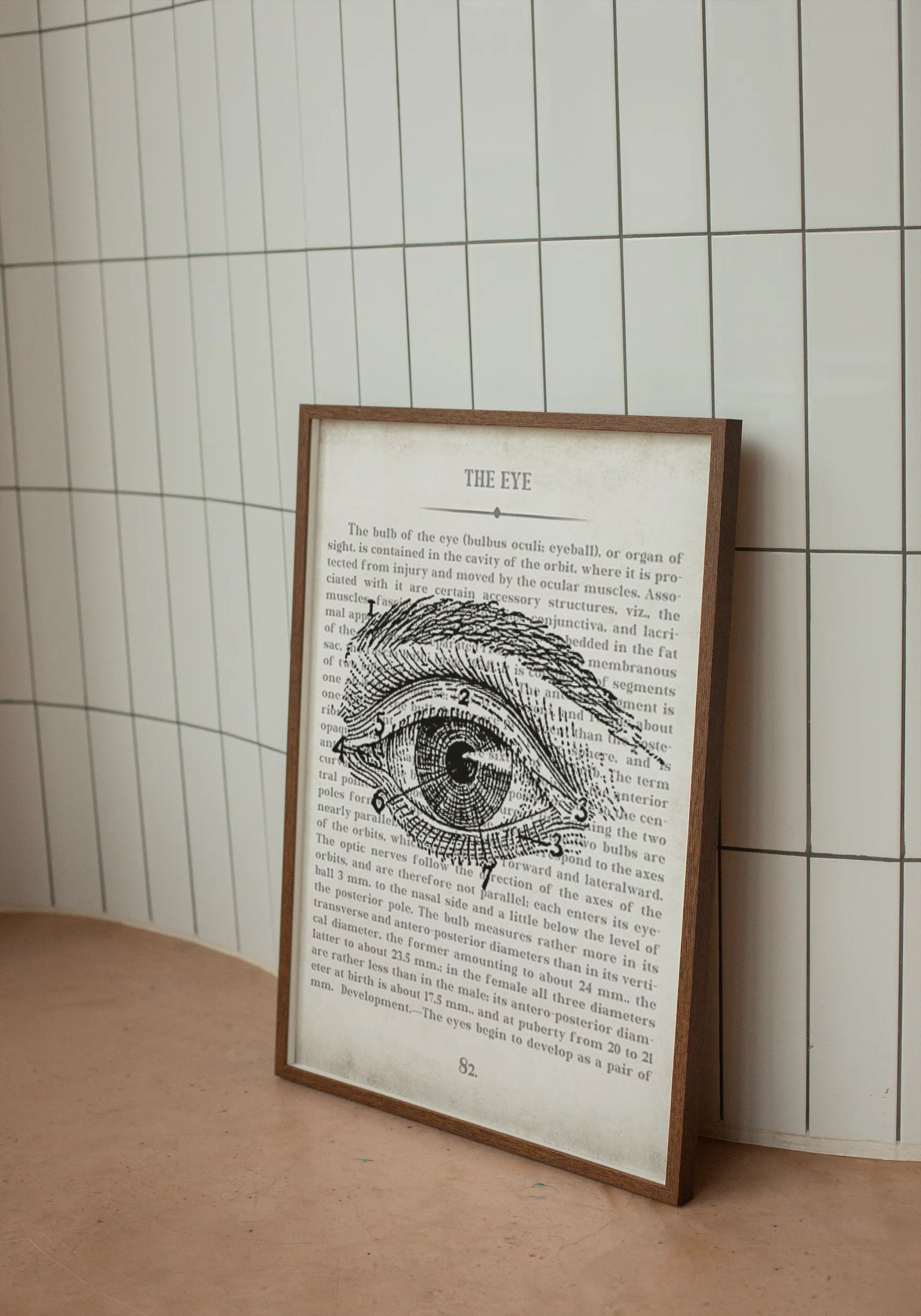Optometrist Gift Eye Art Vintage Anatomy Art Print Optometry - Etsy