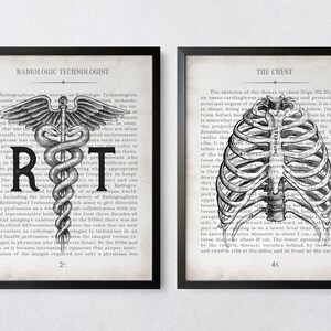 Radiology Tech Art Print Set: Vintage Anatomy Chest & RT Gift image 7