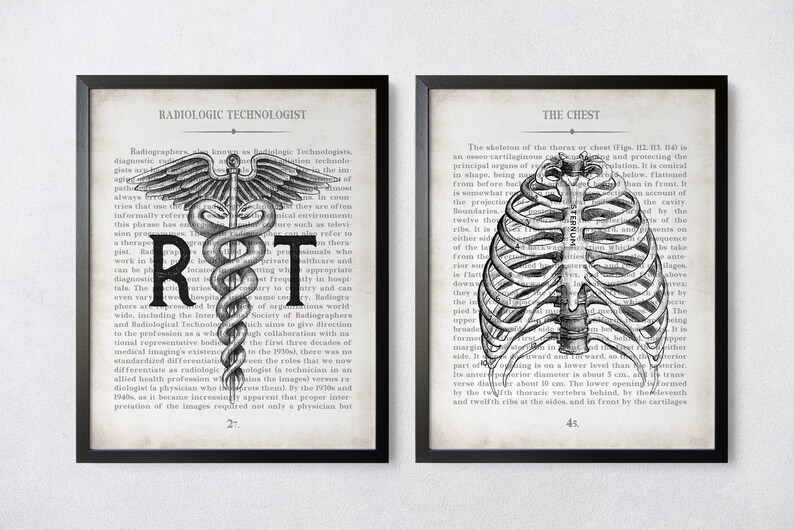 Radiology Tech Art Print Set: Vintage Anatomy Chest & RT Gift image 7