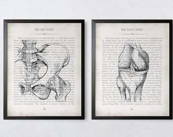 Vintage Hip & Knee Anatomy Art Print Set: Orthopedic Gift, Graduation Gift